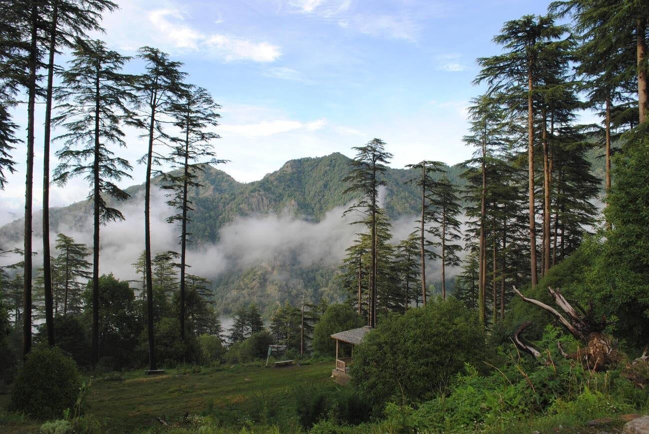 Things to Do in Dhanaulti:  Best Places to Explore